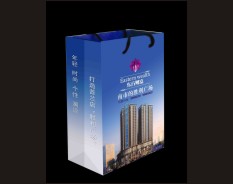 地產(chǎn)系列-6